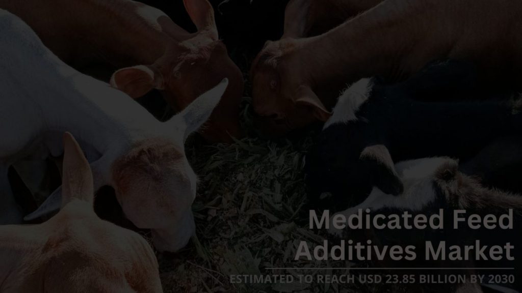 Medicated Feed Additives Market