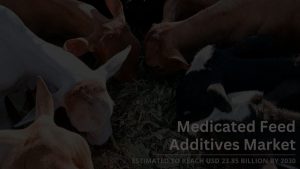 Medicated Feed Additives Market