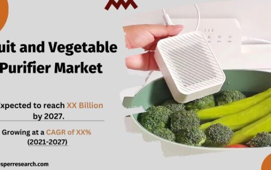 Fruit and Vegetable Purifier Market