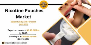Nicotine Pouches Market