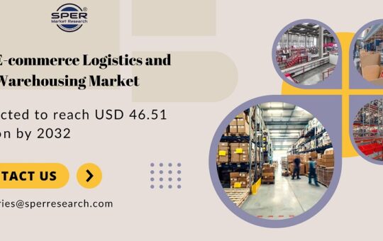 Iraq E-commerce Logistics and Warehousing Market Share