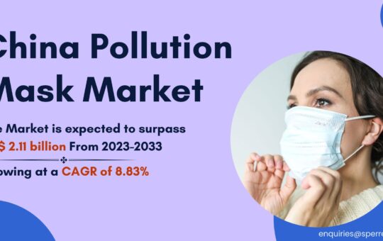 China Pollution Mask Market