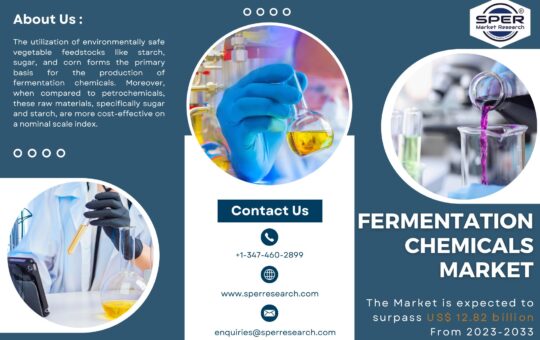 Fermentation Chemicals Market