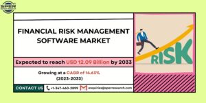 Financial Risk Management Software Market - Copy