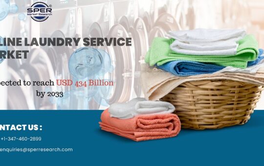 Online Laundry Service Market