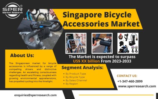 Singapore Bicycle Accessories Market