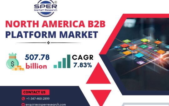 North America B2B Payments Market