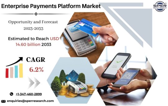 Enterprise Payments Platform Market