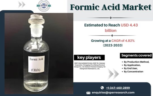 Formic Acid Market