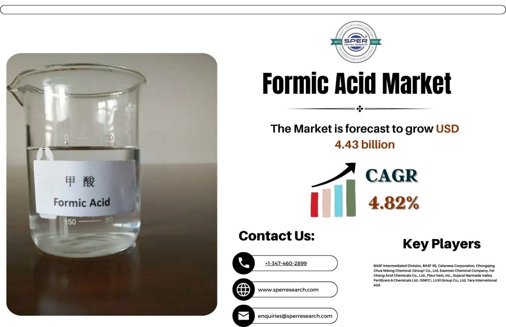 Formic Acid Market