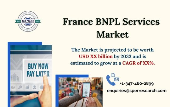 France-BNPL-Services-Market