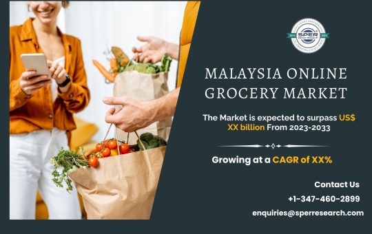 Malaysia Online Grocery Market