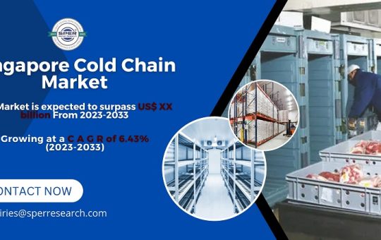 Singapore Cold Chain Market Size