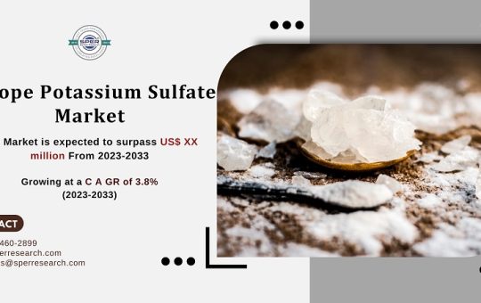 Europe Potassium Sulfate Market Size