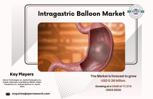 Intragastric Balloon Market