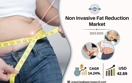 Non Invasive Fat Reduction Market