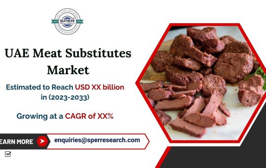 UAE Meat Substitutes Market2