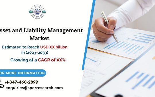 Asset and Liability Management (Alm) Market