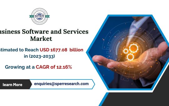 Business Software and Services Market