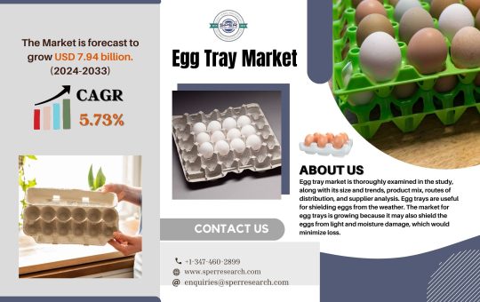 Egg Tray Market