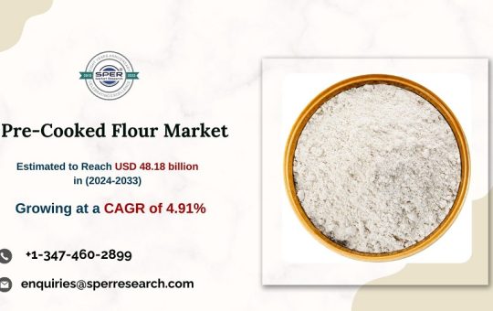 Pre-Cooked Flour Market