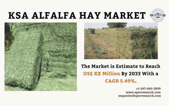 Saudi Arabia Alfalfa Hay Market