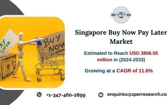 Singapore Buy Now Pay Later (BNPL) Market Size - Copy (2) - Copy