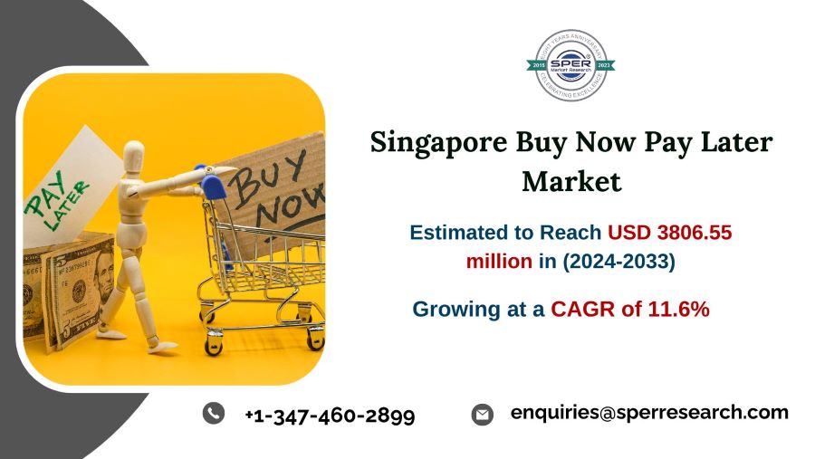 Singapore Buy Now Pay Later (BNPL) Market Size - Copy (2) - Copy