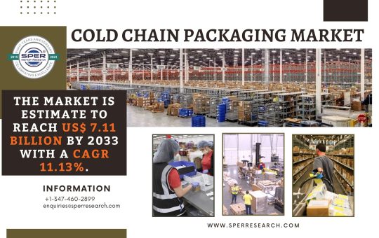 Cold Chain Packaging Market