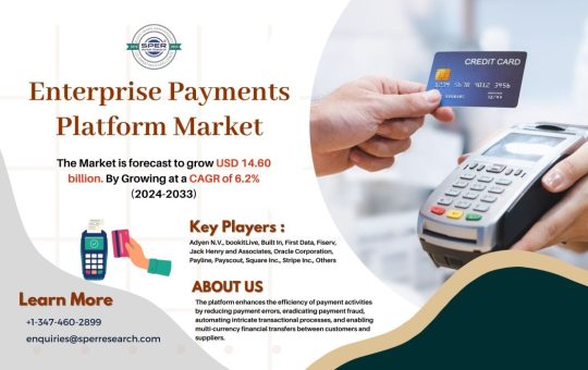 Enterprise Payments Platform Market