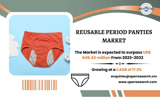 Reusable Period Panties Market