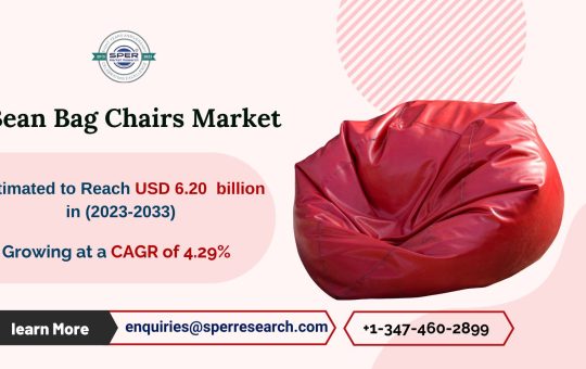 Bean Bag Chairs Market