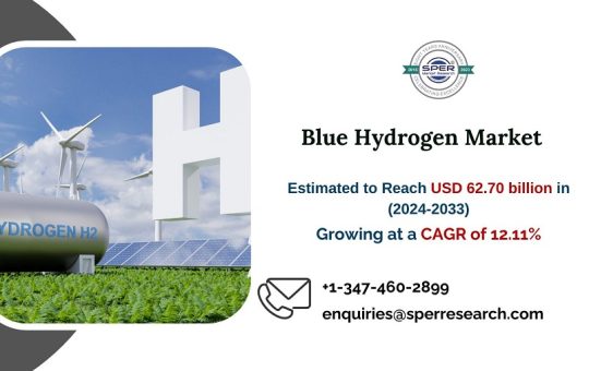 Blue Hydrogen Market