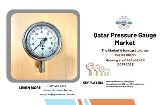 Qatar Pressure Gauge Market