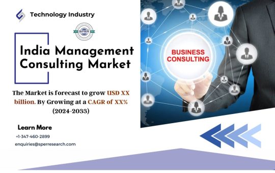 India Management Consulting Market