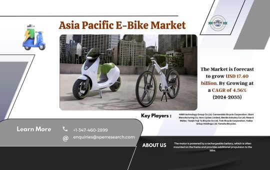 Asia Pacific E-Bike Market