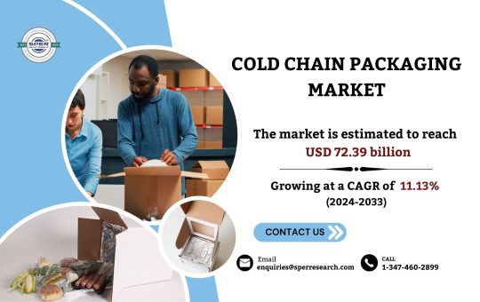 Cold Chain Packaging Market