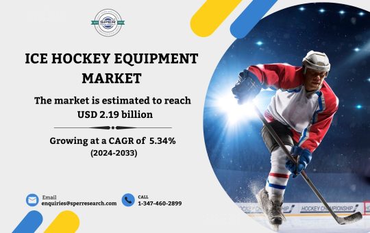 Ice Hockey Equipment Market