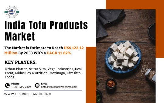 India Tofu Products Market