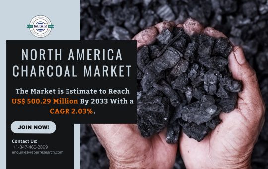 North America Charcoal Market