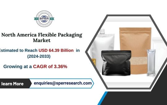 North America Flexible Packaging Market