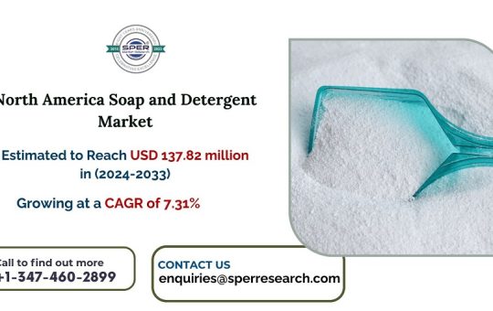 North America Soap and Detergent Market