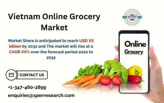 Vietnam Online Grocery Market