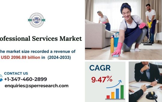 Professional Services Market