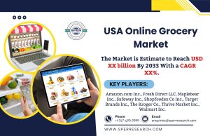 USA Online Grocery Market