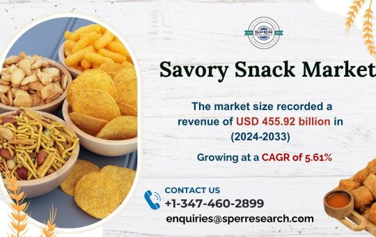 Savory Snack Market