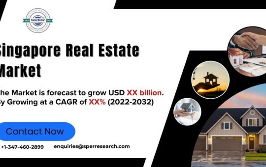 Singapore Real Estate Market