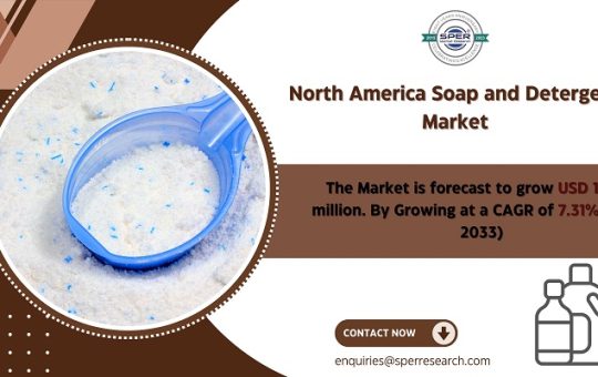 North America Soap and Detergent Market