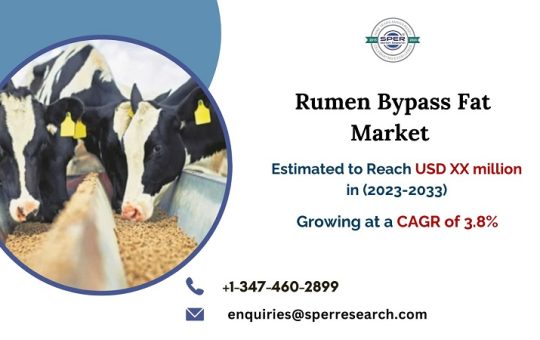 Rumen Bypass Fat Market