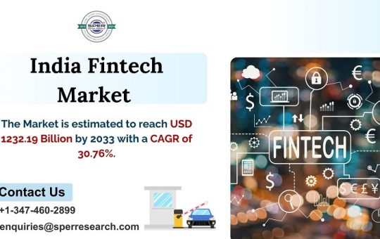 India Fintech Market